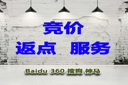 百度SEO推广案例：实战解析与优化建议